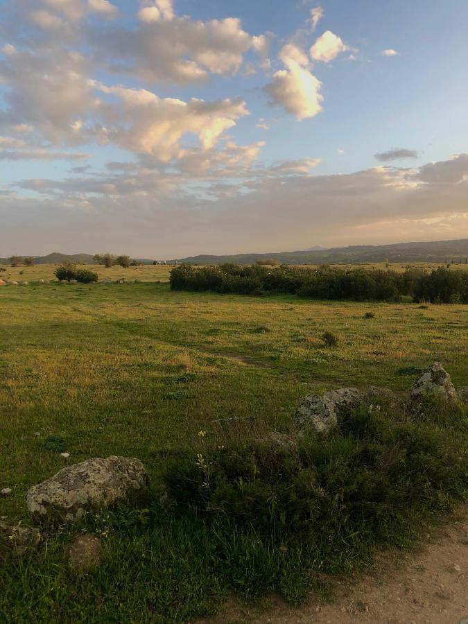 El Lago Cervera de Buitrago Exterior foto